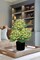Spring Table Top Decor – 19.7" Green Artificial Flower Plant in Pot, Faux Silk Tree Arrangement for Home, Office, Bathroom & Table Centerpieces